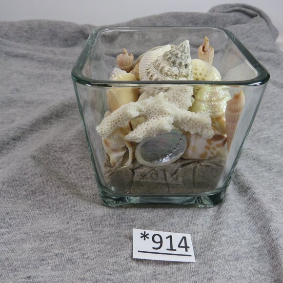 REAL Sea Shells in a Glass Square Vase and sand #5 - Picture 2 of 9